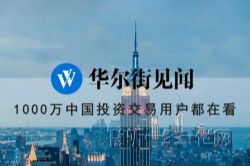 华尔街见闻 每周公司分析