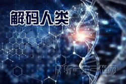 �������ࣨ��ᣩ