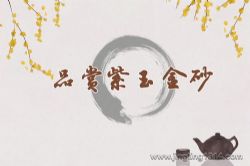 2023��ټҽ�̳Ʒ�������ɰ