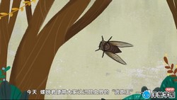 ���ѧ԰2023Сѧ���������γ̣�1-6�꼶ͨ�ã���17.3G������Ƶ���ٶ����̱���