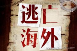 白夜剧场:逃亡海外 “红通5号”通缉犯逃亡生活 杨黎光大案纪实 腐败官员纪实