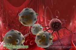 ����ϵ�У�����ϸ��ս�ӣ���ᣩ