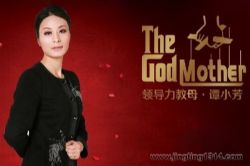 执行力管理(中国领导力教母谭小芳)