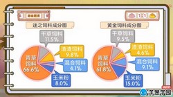 洋葱学园2023苏教版小学数学六年级下册(苏科版)(1.02G高清视频)百度网盘