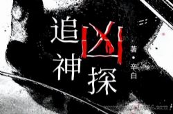追凶神探(作者:辛白)(演播:苍耳)