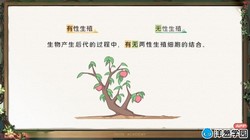 洋葱学园2023苏教版初中生物八年级下册(初二)(767M高清视频)百度网盘