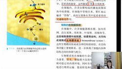 2024��߿������ܷ���ֱ�����ɿΣ���������695M������Ƶ���ٶ�����