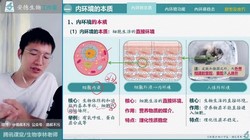 2024ѧ�����ָ߶�����ѡ���Ա���1-2ͬ���Σ�40.6G������Ƶ���ٶ�����