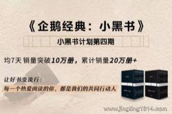 小黑书计划第四期(英语)