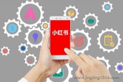 小红书增长训练营,21天小红书涨粉变现计划(完结)