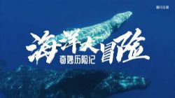 ֪ʥ�������ռǣ����������ð�� �ٶ�����