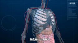 ֪ʥ�������ռǣ��Ƕ�һ���Σ��� �� ���ࣩ�������ٿ��� �ٶ����̱���