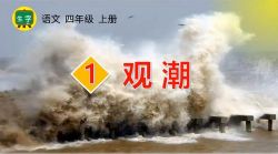 �������߲ʿ���ͳ����������꼶�ϲ��ѧ�μ� �ٶ�����