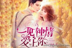 һ�����鰮���� �Ʋ�����������ܲ�