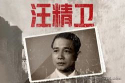 ����߶�ͣ����˰��������