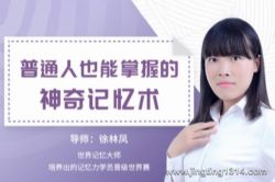 维库:普通人也能掌握的神奇记忆(完结)