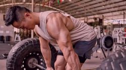 һ����ˣ�������̬����Ӫ����ᣩ�ٶ����̱���