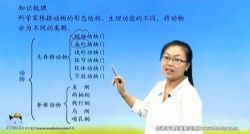 ��ѧϰ����������ͬ�������ѧ�ڿγ� �ٶ����̱���