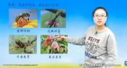 ��ѧϰ����������ͬ�������ѧ�ڿγ� �ٶ����̱���