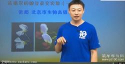 简单学习网高一生物基础必修2(张超)百度网盘