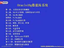 数据库课程:Oracle.10G.数据库系统教程.中科院培训老师讲授 百度网盘