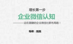 麦子:企业微信运营增长全攻略(完结)百度网盘保存