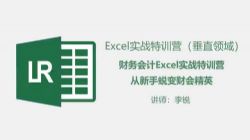 财务excel特训营(完结)百度网盘保存