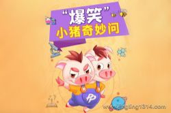 小猪屏蓬:九十万个为什么