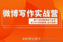 王老师微博超级写作实战营(完结)