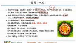 北斗2020高二生物竞赛(BAC3-专题定制)百度网盘保存