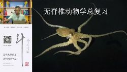 2021年北斗无脊椎动物学(生物竞赛动物生理)百度网盘保存