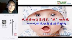 �����������������ﾺ�������������ٶ�����