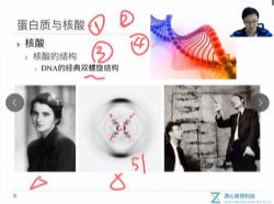 ���Ľ���2019���ﻯѧ�����＾��ʸ����ʦ�����ﾺ�����ﻯѧ���ٶ�����