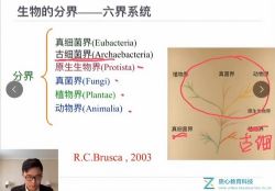 质心教育生物竞赛2021佛脚班:动物及动物生理8讲(生物竞赛动物生理)百度网盘