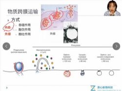 ���Ľ���2020ϸ������ѧ���ڰ�ζ���ʦ �ٶ�����