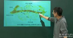 简单学习网高二生物同步必修二(林祖荣)百度网盘