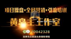 黄岛主:无版权虚拟课程项目第二期,月入2-3w(完结)(网赚)百度网盘
