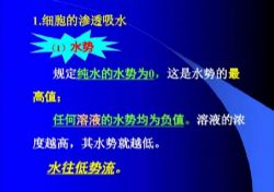 金石未开2022寒假生物竞赛生物宏观专题班课程21讲(9.88G高清视频)百度网盘