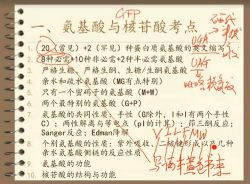 ѧ��ΰҵ2021������������GA2�����ﾺ��20���н���+����ģ���⣩��47.3G������Ƶ���ٶ�����