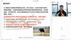 2022������������ˢ�⼯ѵӪ�����ﾺ������9.28G������Ƶ���ٶ�����