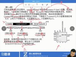 2020质心文献题(生物竞赛)(6.74G高清视频)百度网盘