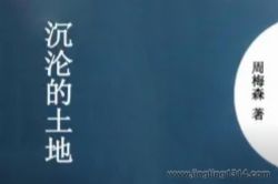 鸿达以太:沉沦的土地(周梅森作品)