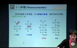 北斗生物化学(11.1G标清视频)百度网盘