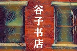 谷子书店(碧珊作品,杨晨、张震演播)