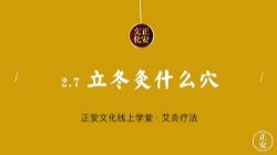正安中医四季艾灸(235M标清视频)百度网盘保存