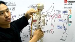 2021����ҽ�������������˶�ϵͳ��4.79G������Ƶ���ٶ����̱���