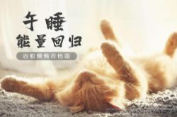 耳界:午睡能量回归 治愈慵懒吉他曲