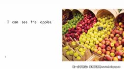 雪梨老师读绘本(502M高清视频)百度网盘保存