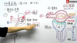 2021����ҽ����������������ϵͳ��4.68G������Ƶ���ٶ�����