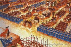 ������ ʵ����������������쿱��ݲ�